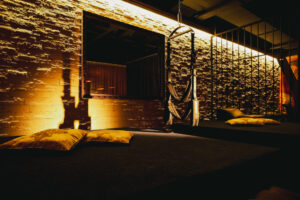 Playroom at Swinger Club Paradiso with swing, cage-style structure, and intimate lighting for private encounters